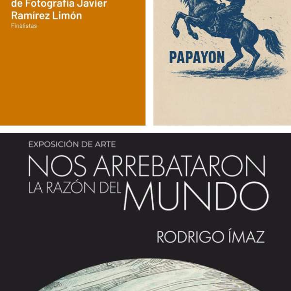 Instituto Sonorense de Cultura impulsa nueva muestra de arte contemporáneo en Sonora